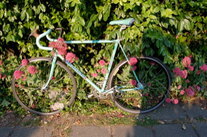 Bianchi CampOne