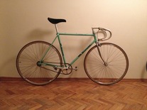 Bianchi Caurus