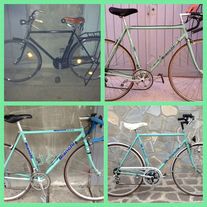 Bianchi collection photo