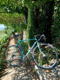 Bianchi dedacciai zero tre photo Bianchi dedacciai zero tre photo