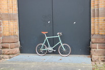 Bianchi Minivelo photo