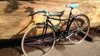 Bianchi Mixte photo