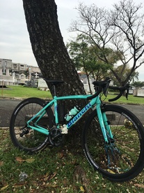 Bianchi Nirone 7