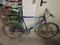 BIANCHI NTH "REPARTO CORSE"