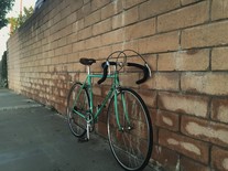 Bianchi Nuovo Alloro photo