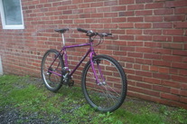 Bianchi Osprey photo