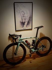 Bianchi OXR2 photo