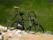 Bianchi Pista 2001