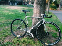 2009 Bianchi Pista Chrome 51cm photo