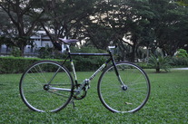 Bianchi Pista (2011) photo