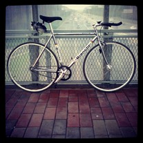 Bianchi Pista Chrome 2012 photo