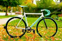 Bianchi Pista Concept photo