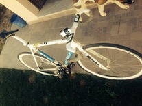 bianchi pista dalmine
