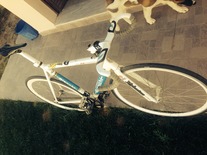 bianchi pista dalmine photo