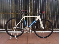 Bianchi Pista Dalmine ( Malaysia )