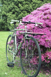 Bianchi Pista SS (2008) photo