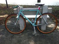 Bianchi Pista Via Condotti photo