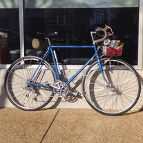 Bianchi Randonneur photo