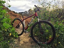 Bianchi Rita SS Hardtail 29er photo