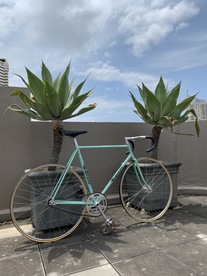 Sale:Bianchi Specialissima Pro Pista1974 photo