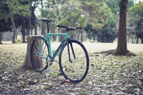 Bianchi Super Pista photo