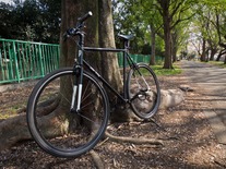 Big Black Big Block photo