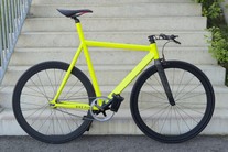 BIKE PUNK Vicious 2015