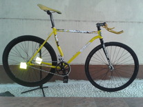 Xds Mash(black and yellow) photo