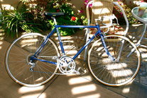 Blue Schwinn