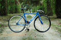 Blue VISP TRX 790 photo