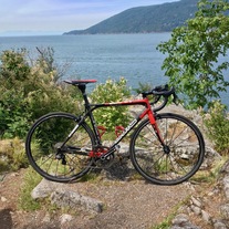 BMC SLC01 ProMachine