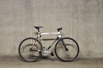 Bmc Trc01 rat