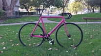 BNUT'S Pink Pelizzoli Leggenda photo