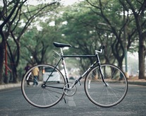 Bomber Pro NJS Trackbike Sz 52.5