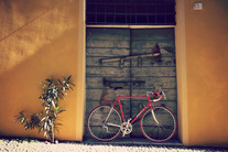 Borghetto '80s by Shortly Cycles photo