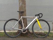 Brain Medulla Custom