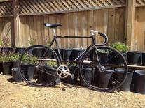 Bridgestone Anchor NJS photo