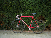 BRIDGESTONE NJS / candy red