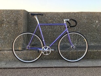 Brother Cycles R725 photo