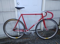 Bushnell track bike