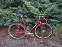 Bushnell track bike