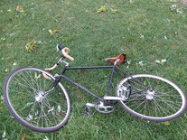 Cadaver Bike photo