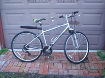 Cannondale bargain