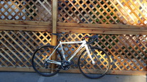 cannondale caad10