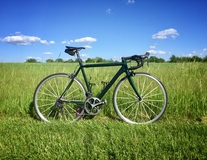 Cannondale CAAD10 photo