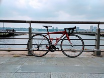 Cannondale CAAD10 photo