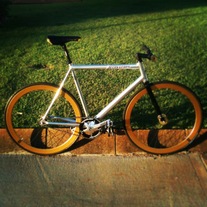 Cannondale Capo photo