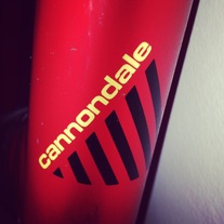 cannondale fake c track photo