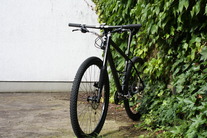 Cannondale Flash 29 photo