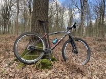 CANNONDALE FSI HM 29